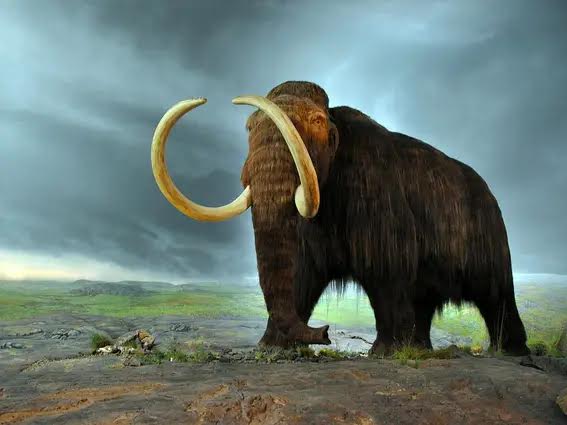 Bringing Prehistoric Creatures such as Mammoths Back Could Help Stop Climate Change — And Here’s How